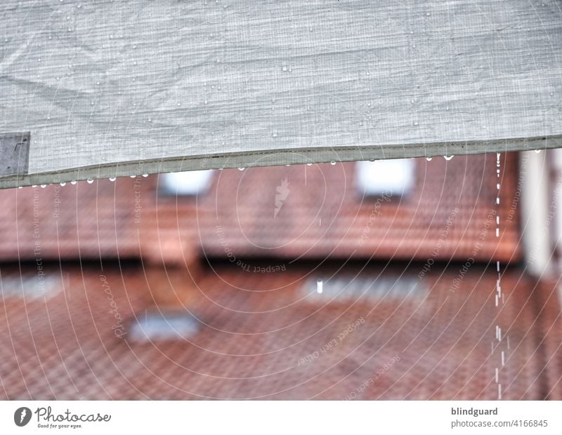I Can't Stop The Rain Feasts & Celebrations Marquee Garden pavilion rain shelter Exterior shot Wet Drop Drops of water raindrops Weather Bad weather Detail