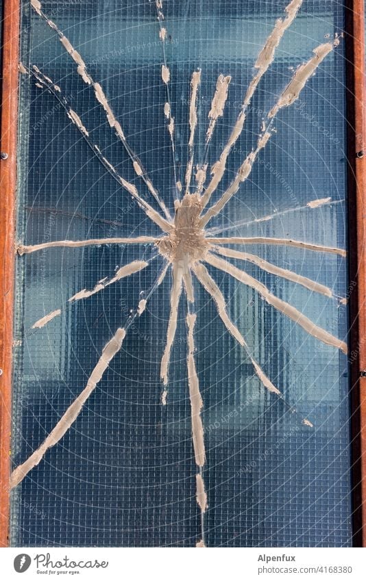 tarantula Spider Spider's web Pane Glass glass break Colour photo Close-up Window pane Deserted Exterior shot Destruction Shard Detail Broken Crack & Rip & Tear