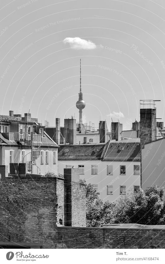 a Berlin backyard with television tower in Prenzlauer Berg poplar avenue Television tower Town Capital city Downtown Exterior shot Old town Deserted Day