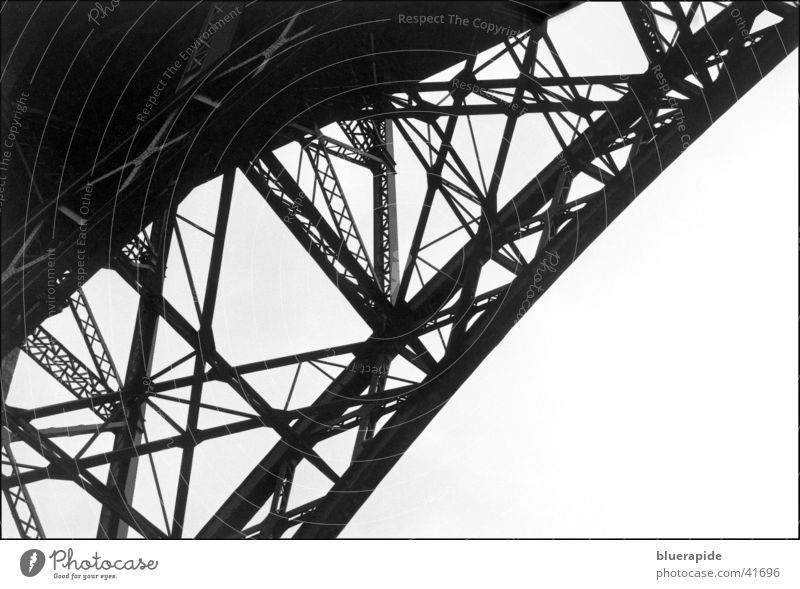 The bridge... Diagonal Carrier Steel Bridge Black & white photo Detail Connection
