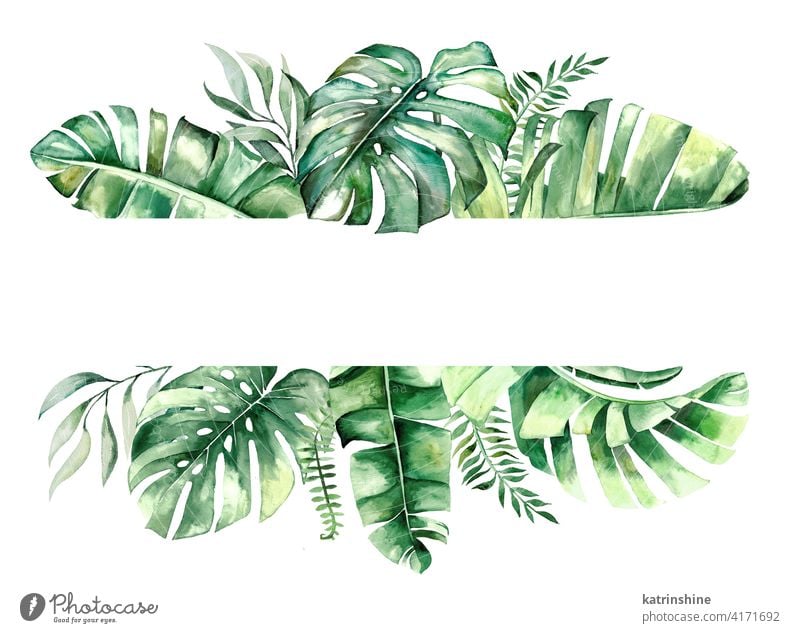 Watercolor tropical leaves frame illustration watercolor green wreath Drawing monstera palm banana fern foliage geometric Botanical Leaf Round Hand drawn