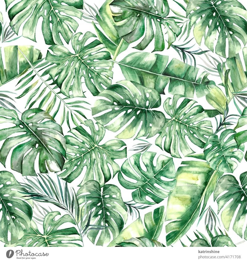 Watercolor tropical leaves seamles pattern watercolor green seamless monstera palm fern banana Drawing illustration jungle paper Botanical Leaf exotic