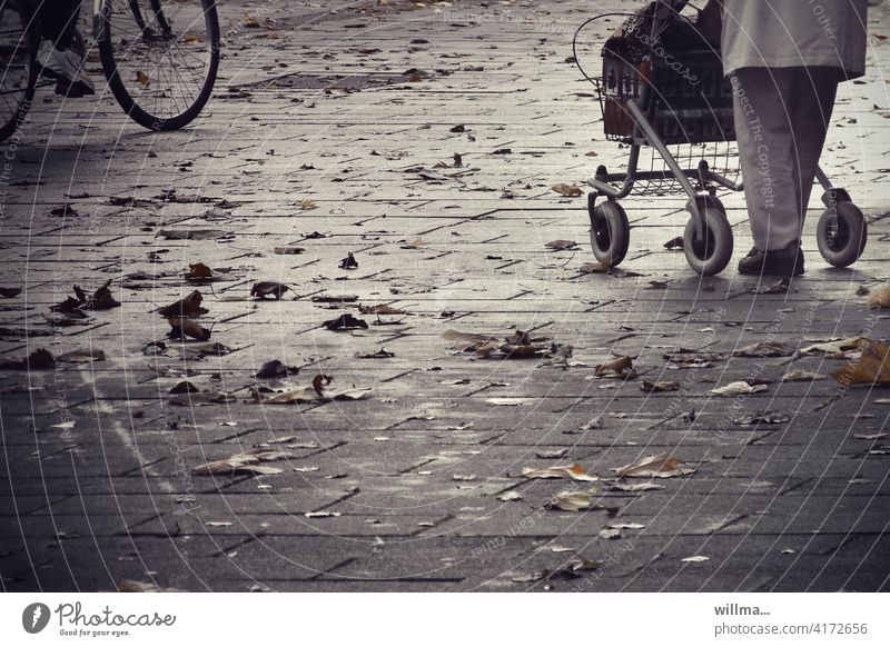 In the autumn of life Rollator Human being Senior citizen Bicycle Walking aid Female senior Autumn of life To go for a walk 60 years and older age Shopping