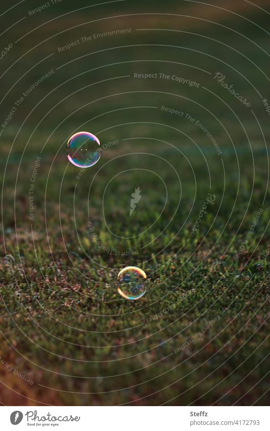 two soap bubbles float over the lawn Easy Hover shine Ease cheerful Lawn Funny weightless untroubled Spherical Happiness Weightlessness light reflexes Spheres