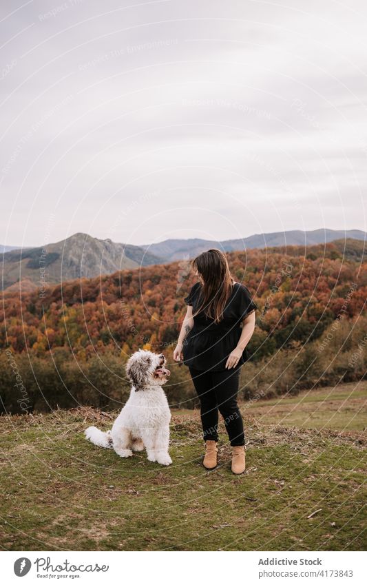 Woman walking with dog in mountains woman together stroll highland enjoy spanish water dog nature hill carefree countryside canine vacation friend animal pet