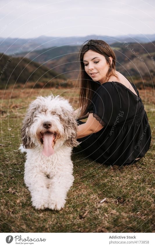 Cheerful woman with fluffy dog in nature give paw owner together friendship obedient pet animal spanish water dog grassy hill rest loyal happy cute companion