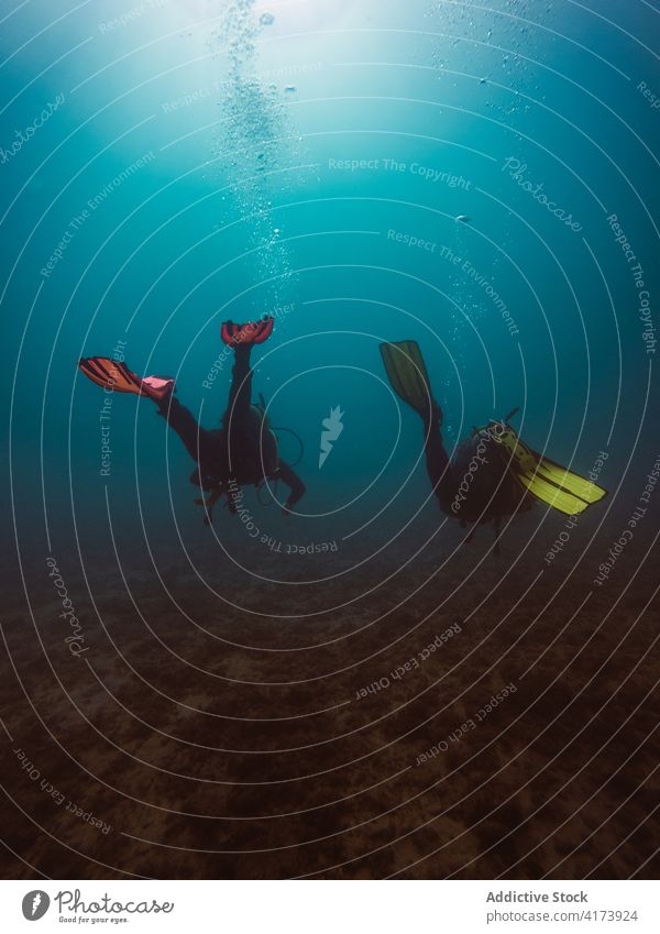 Divers swimming in deep ocean among aquatic vegetation underwater fish nature sea colorful background blue environment tropical adventure scuba dive vacation
