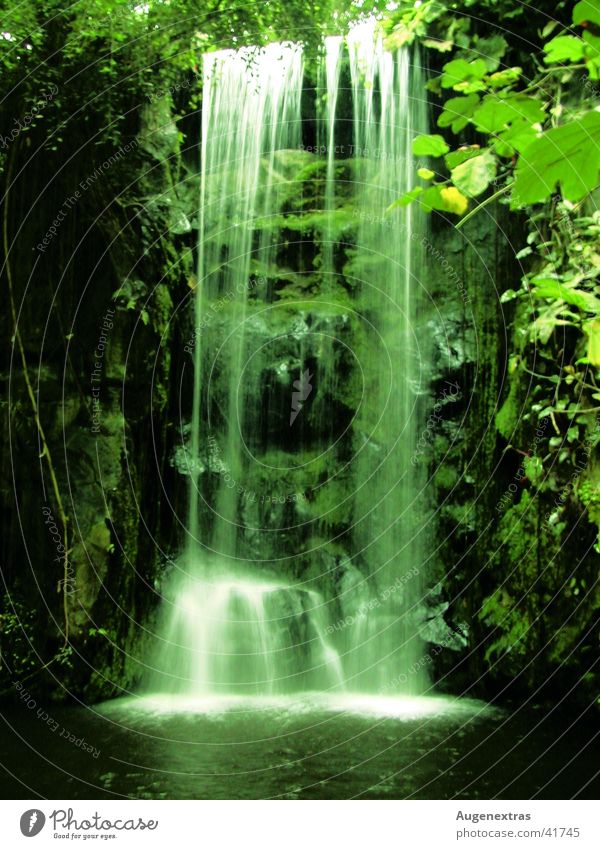 jungles Virgin forest Green Waterfall
