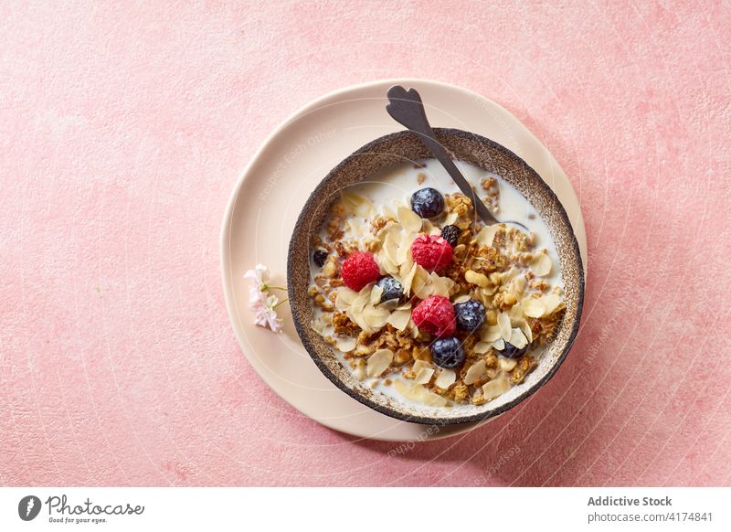 Breakfast with granola, berries and milk breakfast food healthy organic cereal fruit muesli berry bowl grain diet flake snack yogurt fresh natural sweet dessert
