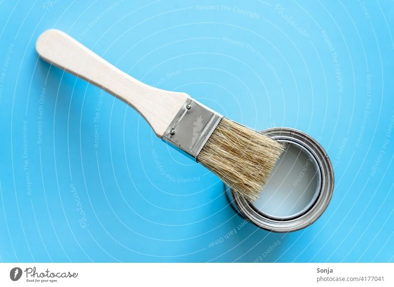 A can of paint and a brush on an isolated blue background. Top view. Spray can Paintbrush Painting (action, work) Creativity Redecorate Work and employment