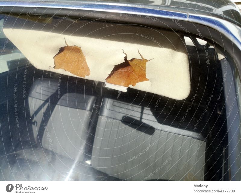 Crumbled plastic of a sun visor with foam filling of a car of the sixties in Wettenberg Krofdorf-Gleiberg near Giessen in Hesse, Germany Sunshield Aperture