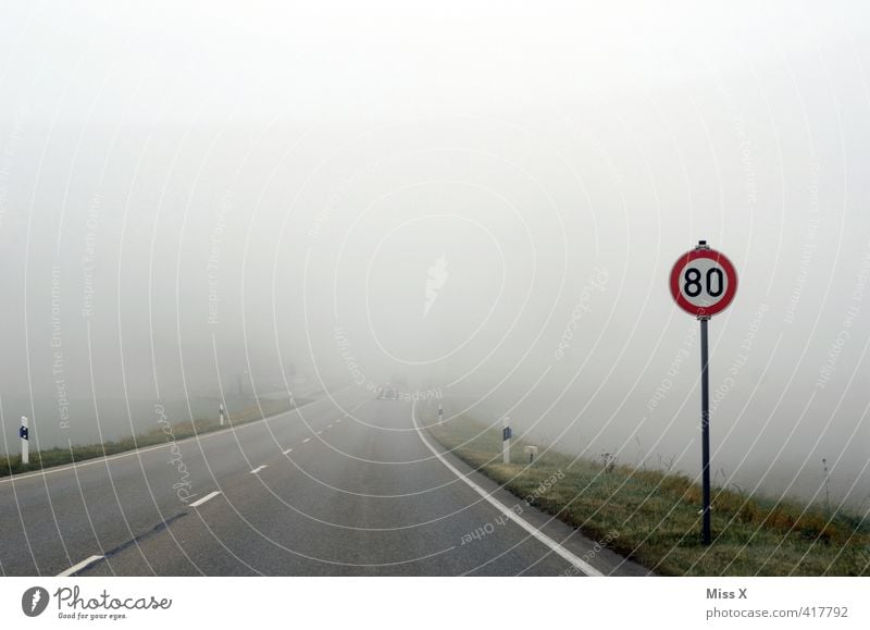 80 - Dull view 60 years and older Senior citizen Autumn Bad weather Storm Fog Transport Traffic infrastructure Motoring Street Road sign Gloomy Gray Dangerous