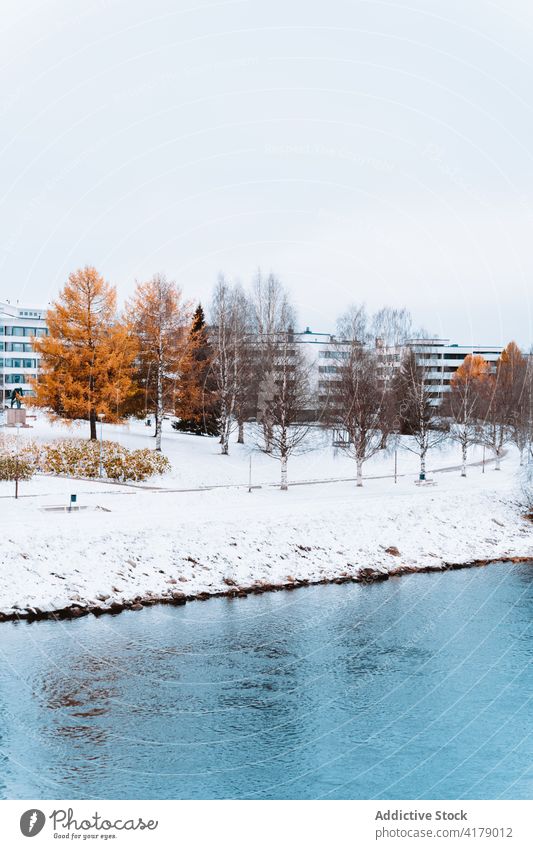 Residential houses near lake in forest in winter pond buildings snow village country landscape residential calm scenic peaceful woods scenery idyllic shore cold