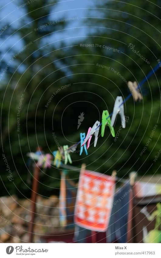 washing day Living or residing Garden Summer Beautiful weather Clothing Hang Wet Dry Diligent Orderliness Cleanliness Purity Washing Clothesline Clothes peg Row