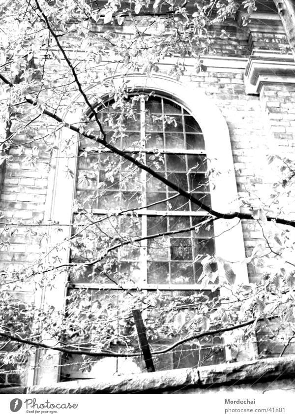 window Window Nostalgia Light and shadow Eerie Church window House of worship Religion and faith Black & white photo