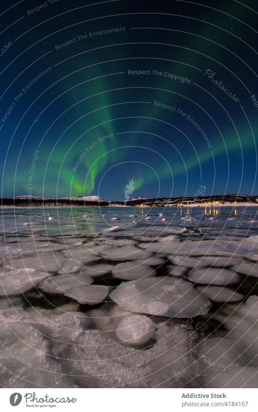 Northern lake at nightView to northern leafless forest in winter under starry cloudless sky with Polar light. nature cold polar light stars dusk covered season