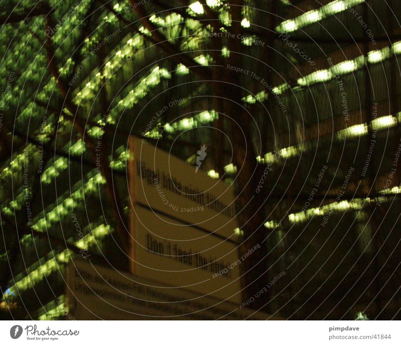 dont feed the birds House (Residential Structure) Photographic technology dresscodenaked Architecture