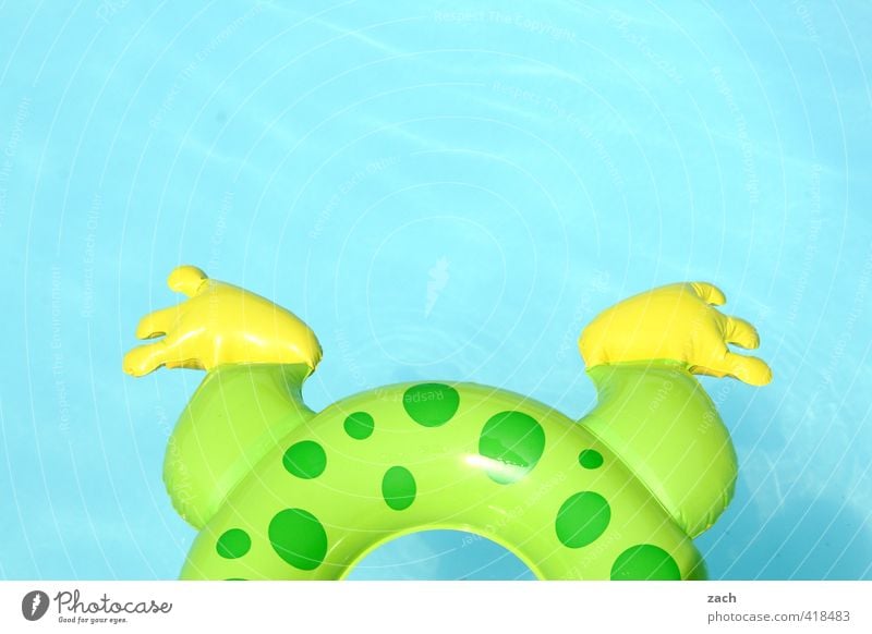 frog's leg Joy Swimming & Bathing Playing Vacation & Travel Aquatics Legs Feet Water Frog Squeak duck Relaxation Dive Round Blue Green Infancy