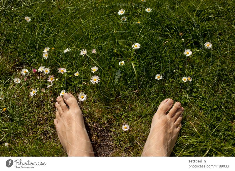 The first time barefoot in the garden blossom Blossom Relaxation awakening holidays spring Spring spring awakening Garden allotment Garden allotments bud Night