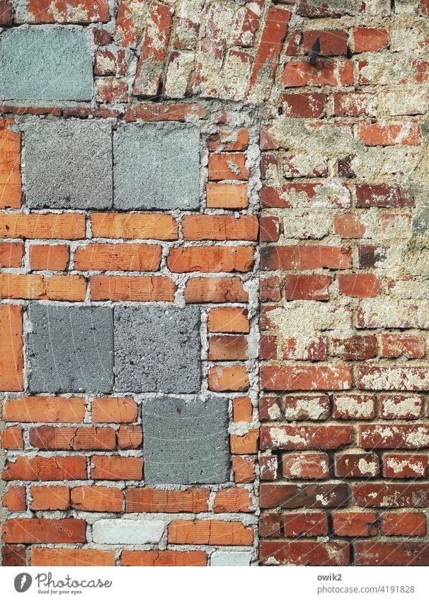 Gapless Wall (barrier) Wall (building) Brick wall Deserted Exterior shot Colour photo Detail Facade Pattern Structures and shapes Building Close-up