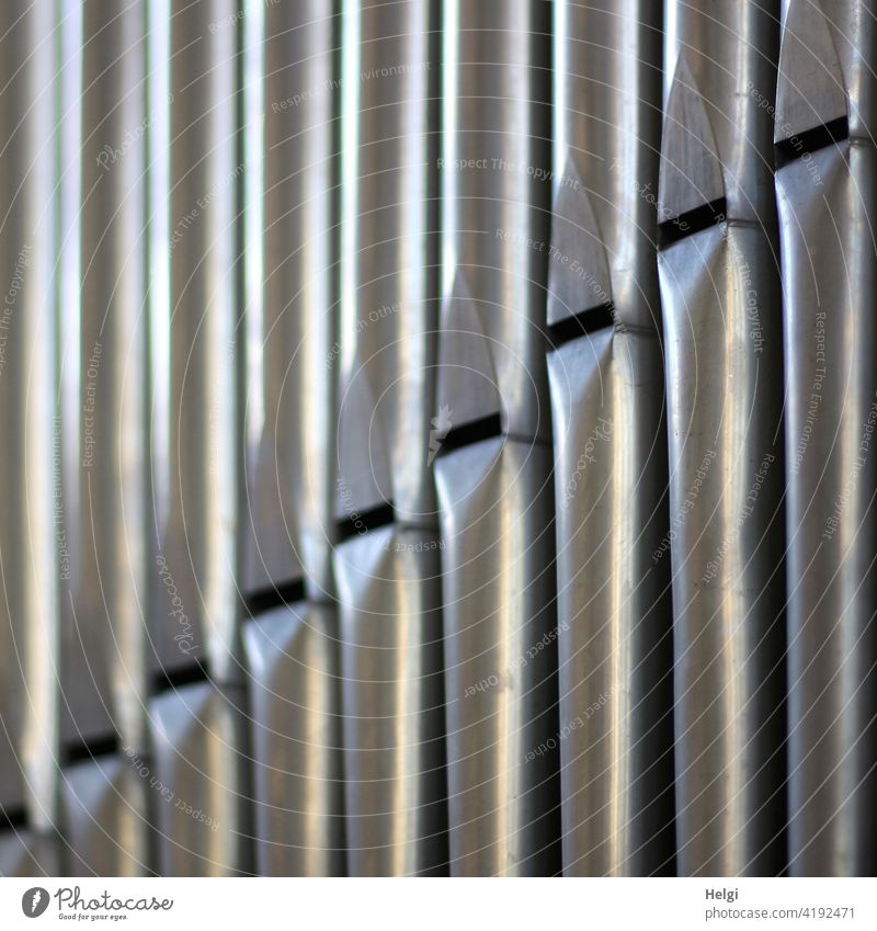 Scale - close up of organ pipes Organ Organ Pipes Church Music tones Musical instrument Colour photo Interior shot Close-up Make music Detail Sound Concert Gray