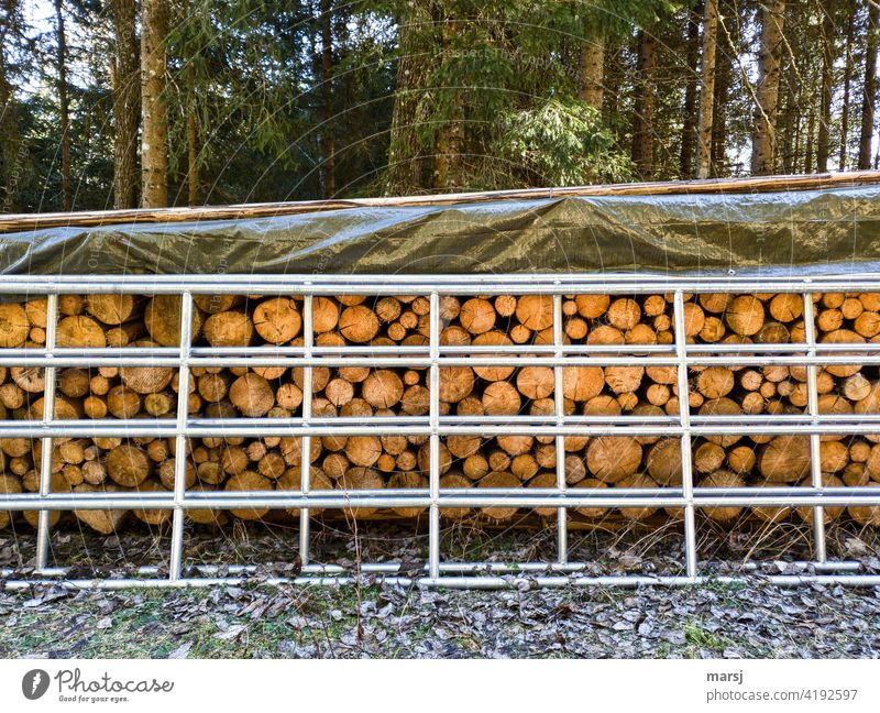Firewood, protected with tarpaulin and in front of it a galvanized iron gate Stack Fuel Stack of wood CO2-neutral natural energy stacked Wood idyllically