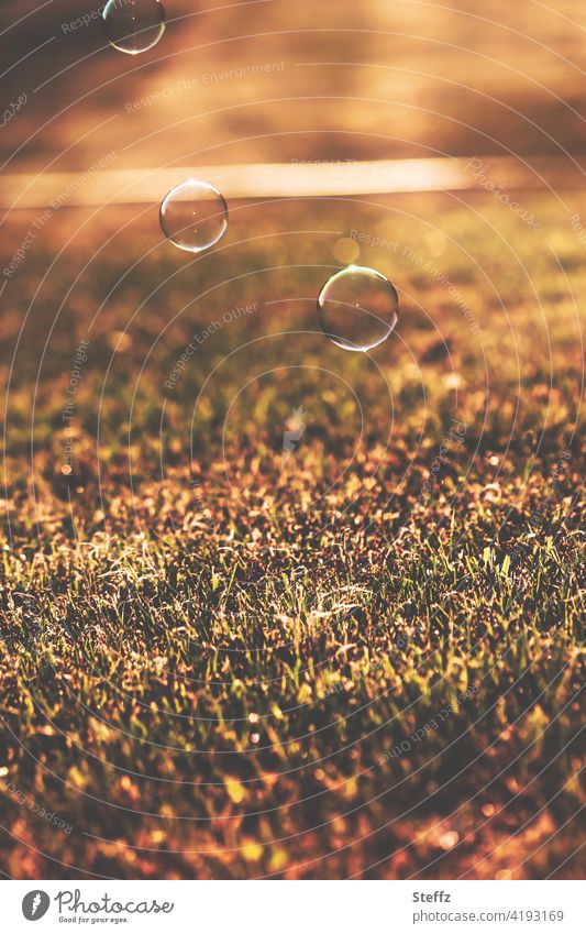 three bubbles landing on the grass soap bubbles Hover Easy cheerful Summery weightless Joy joyfully untroubled Summer warmth June Ease Summer hue hovering