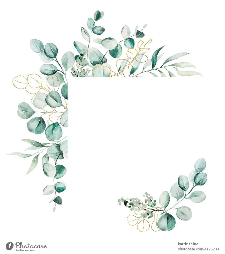 Watercolor eucaliptus leaves frame illustration watercolor branch wreath Drawing green geometric square golden copy space paper Botanical Leaf exotic Hand drawn