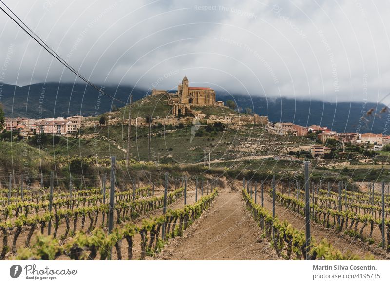 Landscape view of vineyards from the Castle of San Vicente de la Sonsierra in La Rioja, Spain. agriculture ancient background beautiful blue briones building