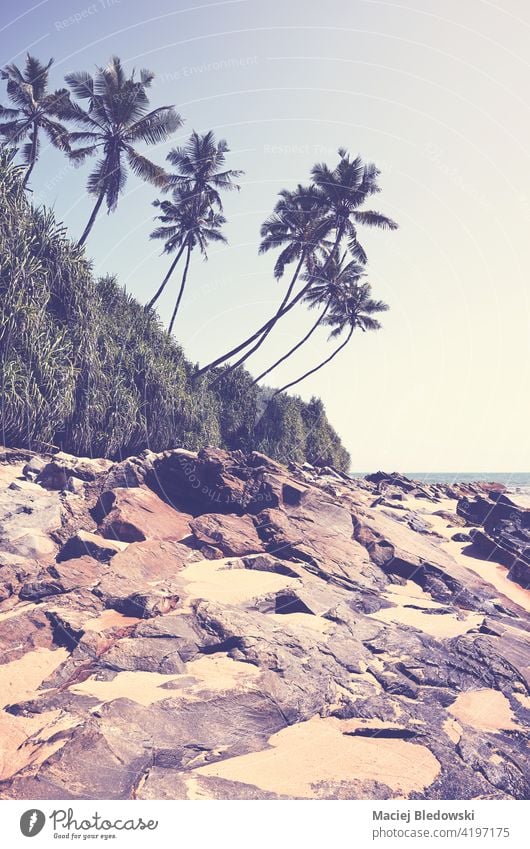 Retro toned picture of a tropical beach on a sunny summer day. paradise nature retro ocean sand sea rock vintage travel island landscape coast vacation scenic