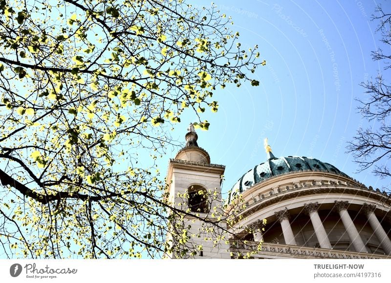 The first tender green leaves on the branches enliven the view from below of the tambour dome and one of the four corner towers of the listed church of St. Nikolai in Potsdam against a pale blue sky in springtime