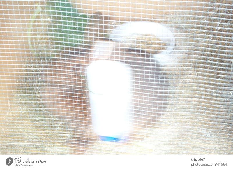 bunnies Hare & Rabbit & Bunny Straw cagey