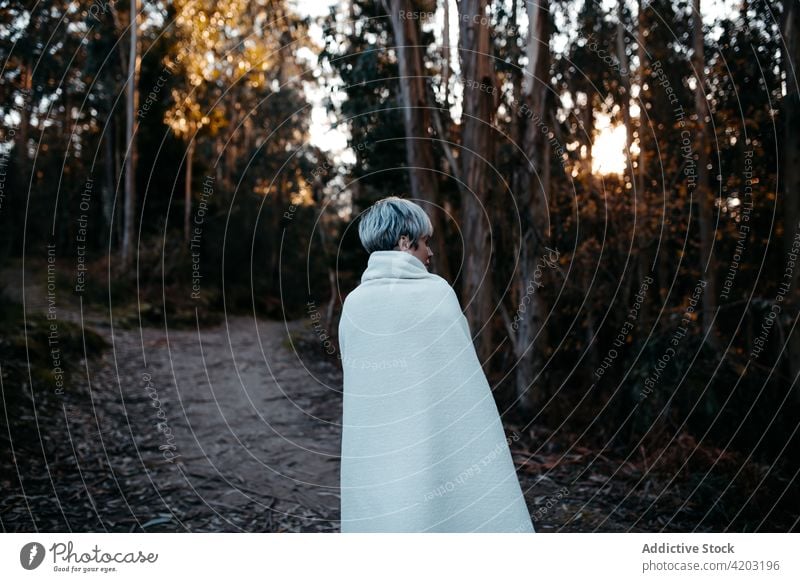 Unrecognizable woman covered with plaid walking in forest blanket cold road path tree evening nature park countryside stroll female environment sunset lady