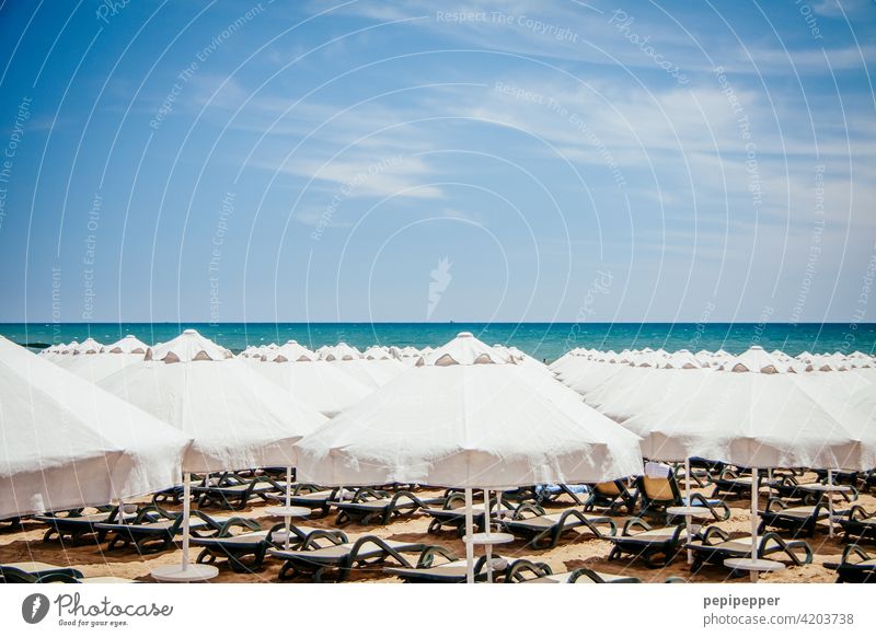 Umbrellas and sunbeds on the beach - all empty parasols Sun loungers Summer Exterior shot Ocean Relaxation Deserted Vacation & Travel Colour photo Beach Sand