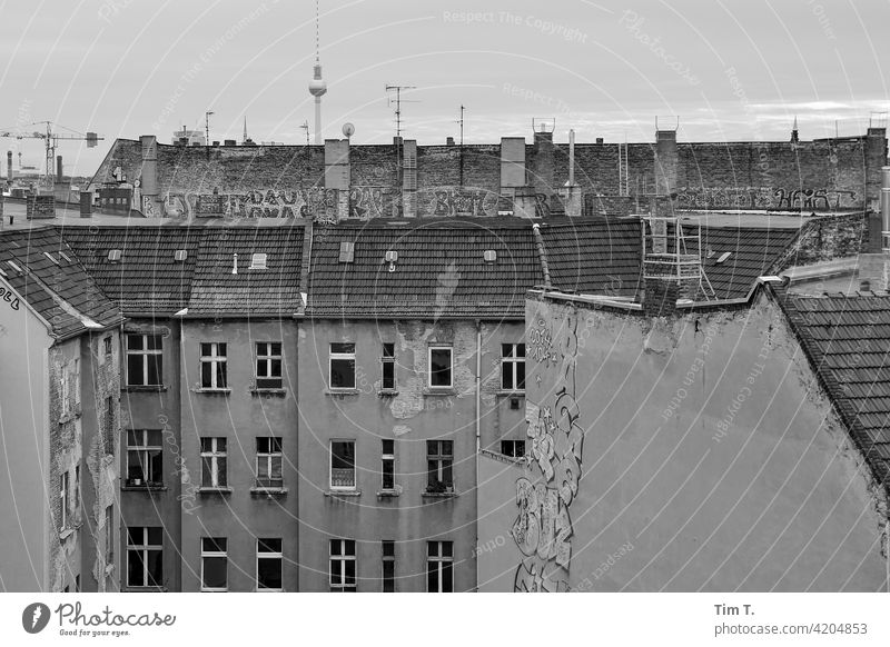 View in a backyard over the roof to the television tower Television tower Prenzlauer Berg Berlin Graffiti Backyard Courtyard Deserted Town Exterior shot