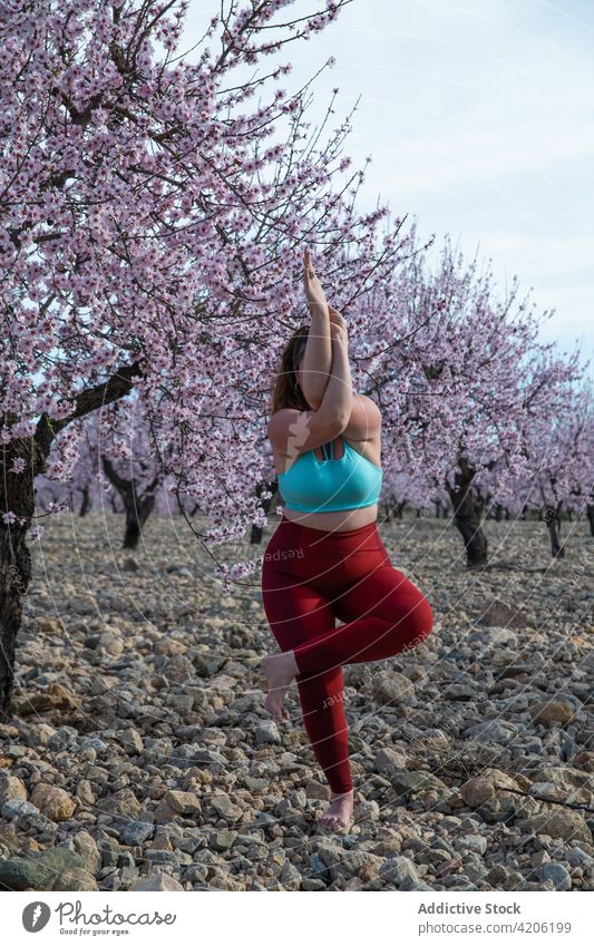 Plus size woman doing yoga in Eagle pose in blooming garden practice spring blossom eagle pose balance harmony curve female almond tree sportswear healthy