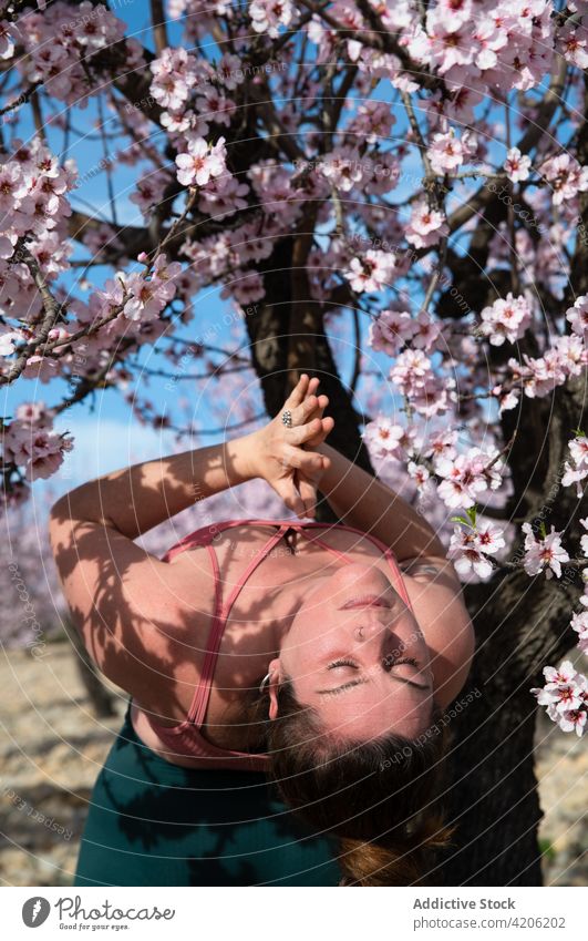 Balance & Blossom Yoga
