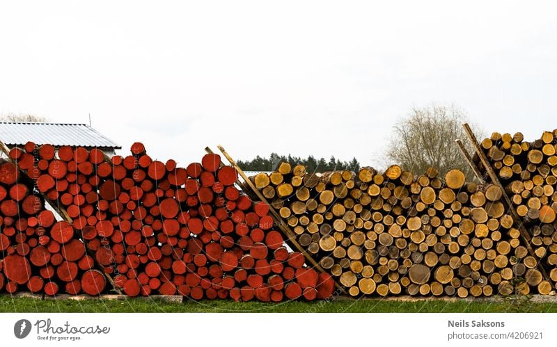 Timber logging in forest. Freshly cut tree wooden logs piled up. Wood storage for industry. Yellow and red logs nature green sky market agriculture field