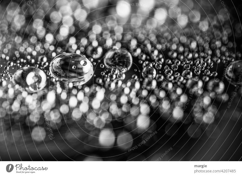 Water drop in black white Drops of water Wet Macro (Extreme close-up) Reflection Light Rain Glittering Detail Damp Close-up blurriness Deserted Size difference