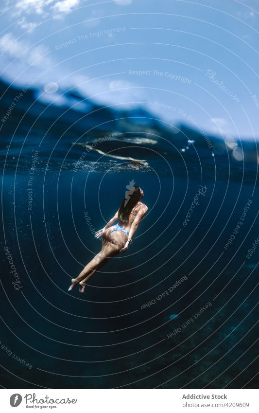 Woman in swimwear swimming undersea woman underwater vacation holiday resort tropical exotic travel female clean swimsuit deep sunlight aqua transparent marine