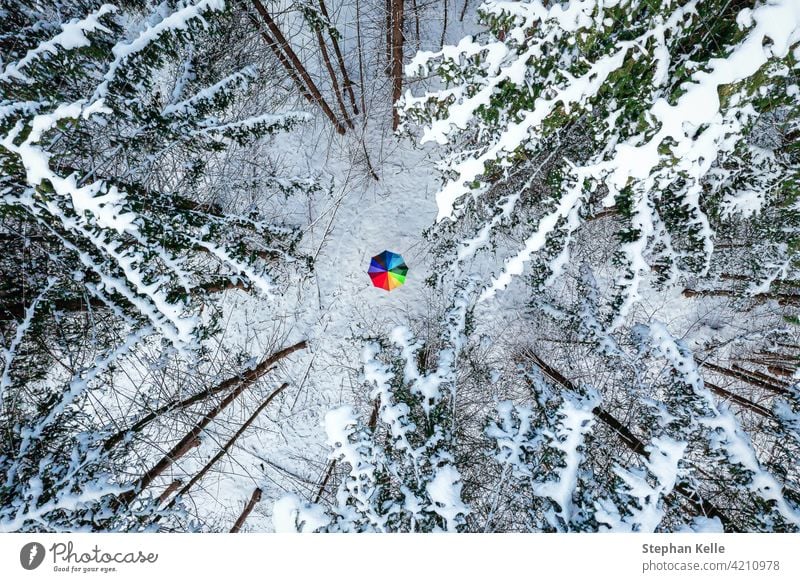 Color contrast concept of a rainbow colored umbrella in the middle of a white snow covered forest, idyllic moment of the winter season. Winter cold nature Park