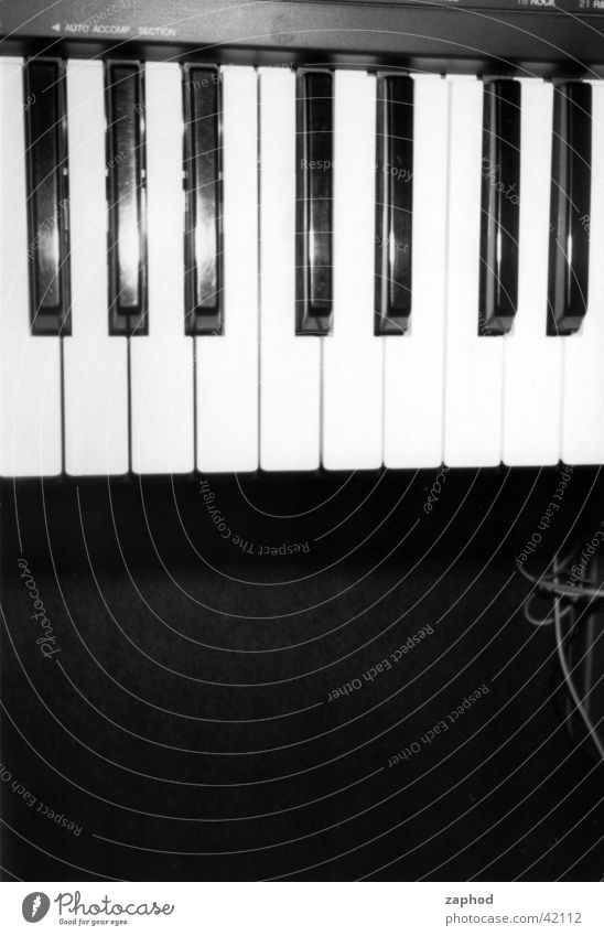 keys Light Things Musical instrument