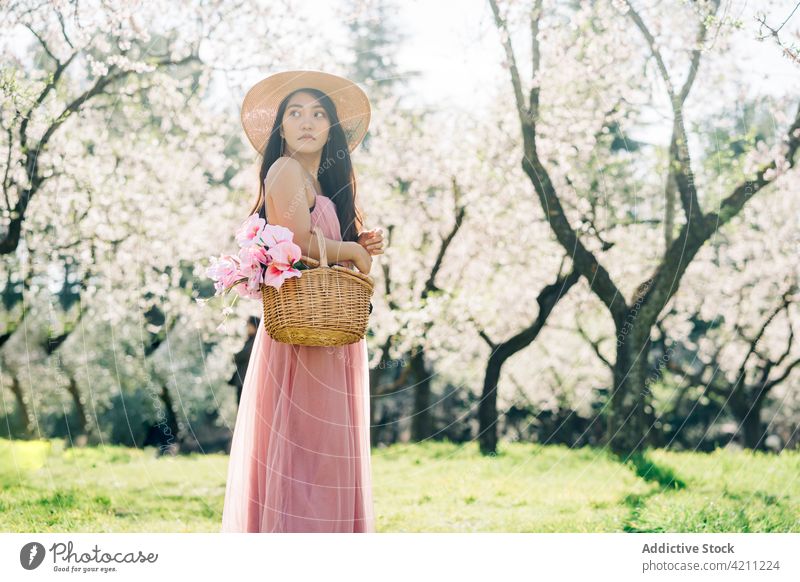 Woman in dress walking in orchard with basket with flowers woman cherry garden bloom elegant shoe style tree nature female blossom park stand flora delicate