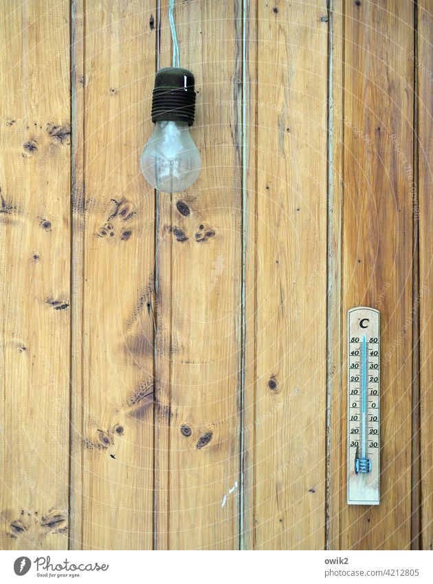 Sub-zero temperatures Wall (building) Wood board wall Thermometer Lamp Thrifty Electric bulb Spartan Simple Naked daylight Detail Deserted Copy Space left