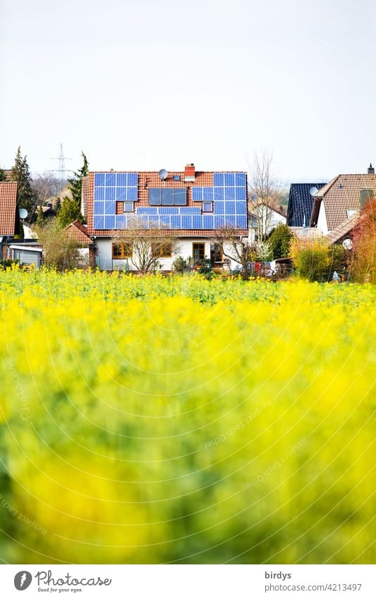 Photovoltaic system and thermal solar system on the roof of a single-family house on the outskirts of town with an adjacent rapeseed field local border