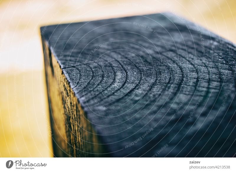 Detail of the interior texture of a piece trunk rings bark porous stump wood broken scarred section tree nature natural environment half cut brown forest