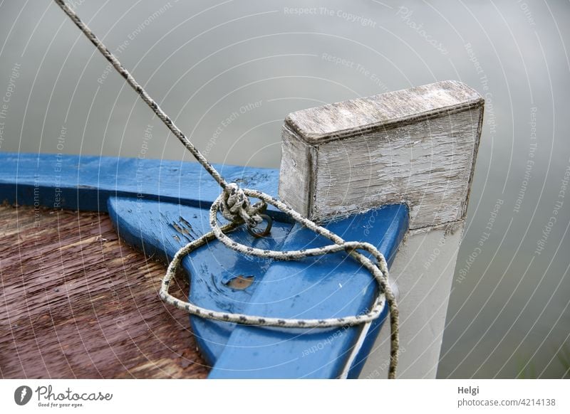 back to the roots | bow of an old small fishing boat on the water, detail view Fishing boat Detail leash String Water Wood Old Small Close-up Knot tethered