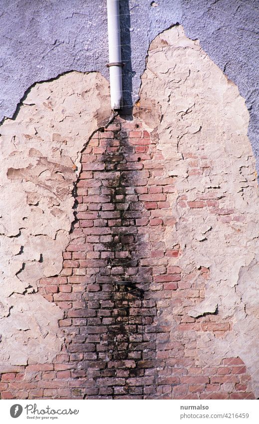 Bauschäden Wand schaden wasser altbau schimmel sanierung putz ziegel verwittert regen regenrohr abriss ruine