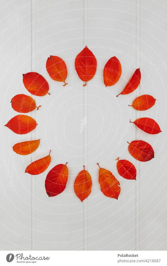 #A0# Autumn circle Autumnal Autumn leaves Autumnal colours Early fall autumn mood Red Orange Nature