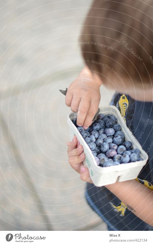 blueberries Fruit Nutrition Eating Organic produce Vegetarian diet Human being Child Toddler Infancy 1 - 3 years 3 - 8 years Fresh Healthy Delicious Juicy Sweet